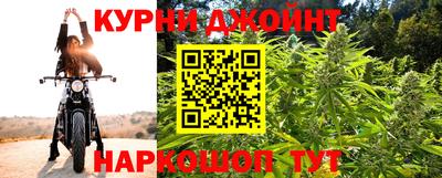 ALPHA PVP Гатчина