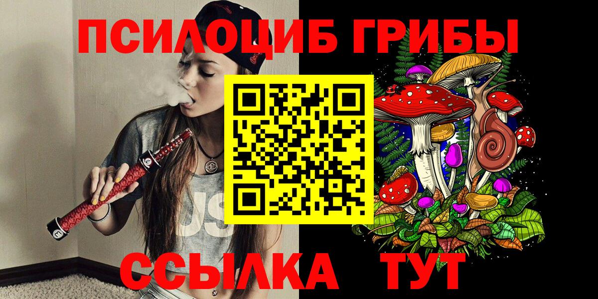 Псилоцибиновые грибы Psilocybine cubensis  Вход с VPN  Аксай 
